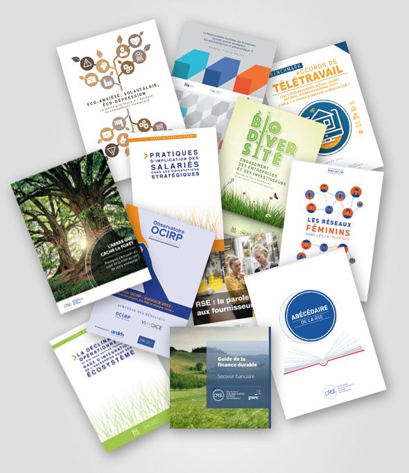 12 nouvelles publications à destination des entreprises
