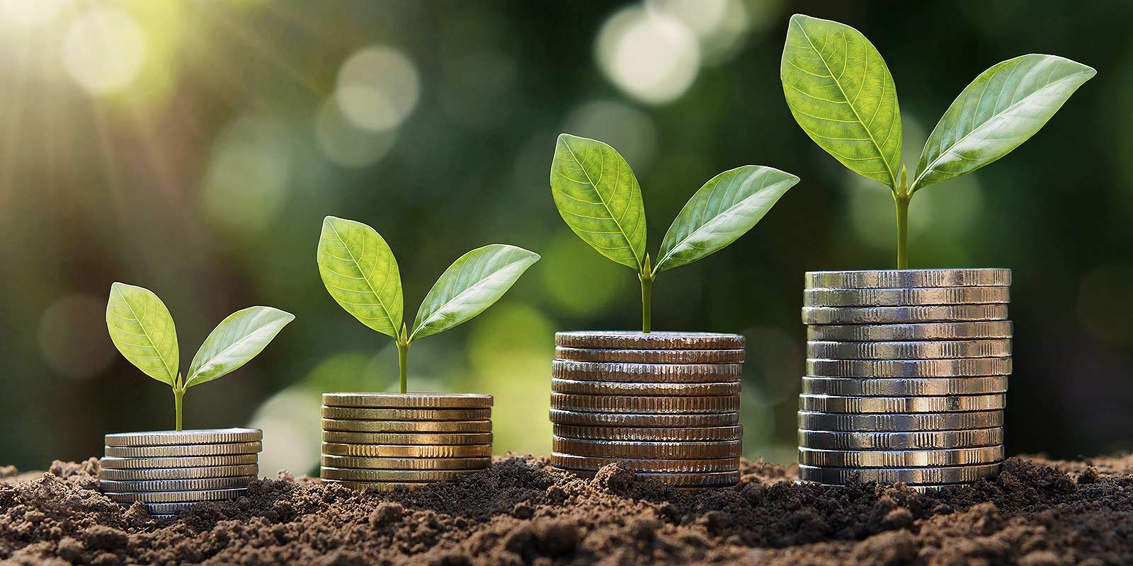 Club Transition Juste : Replays & supports de réunions