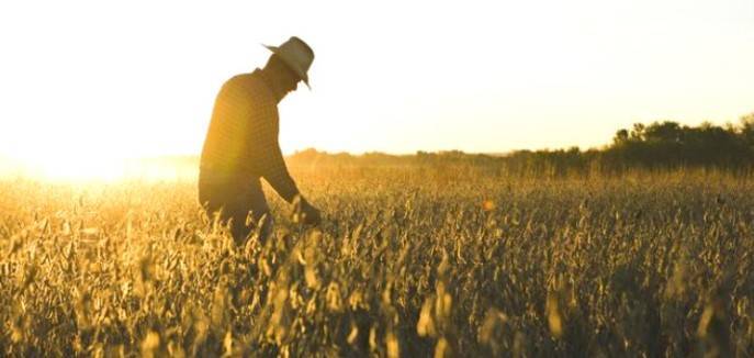 Ateliers Entreprises & Agriculture