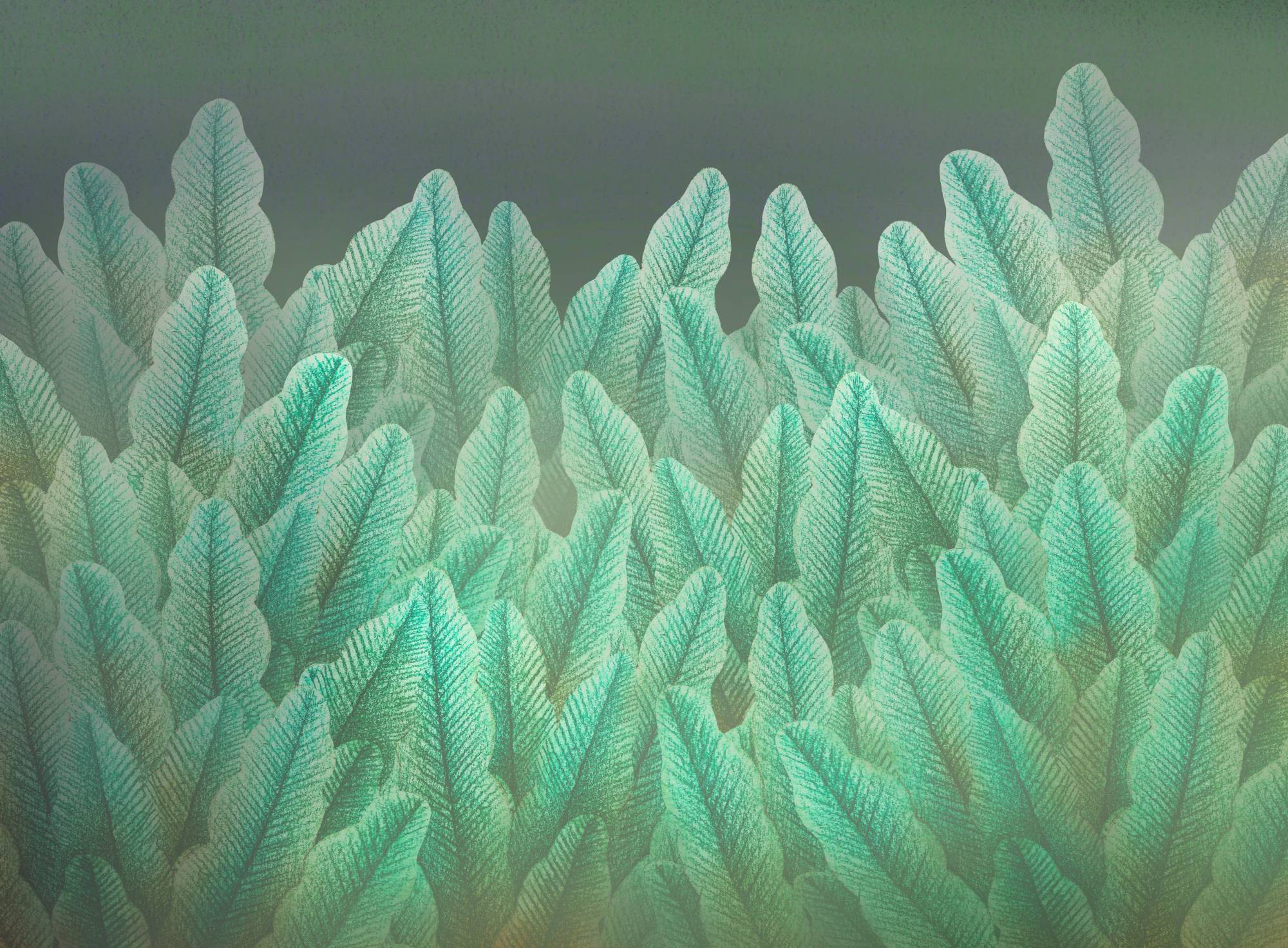 Ateliers taxonomie et durabilité